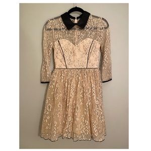 Hayden Blush Cocktail Dress Lace with Contrast Collar